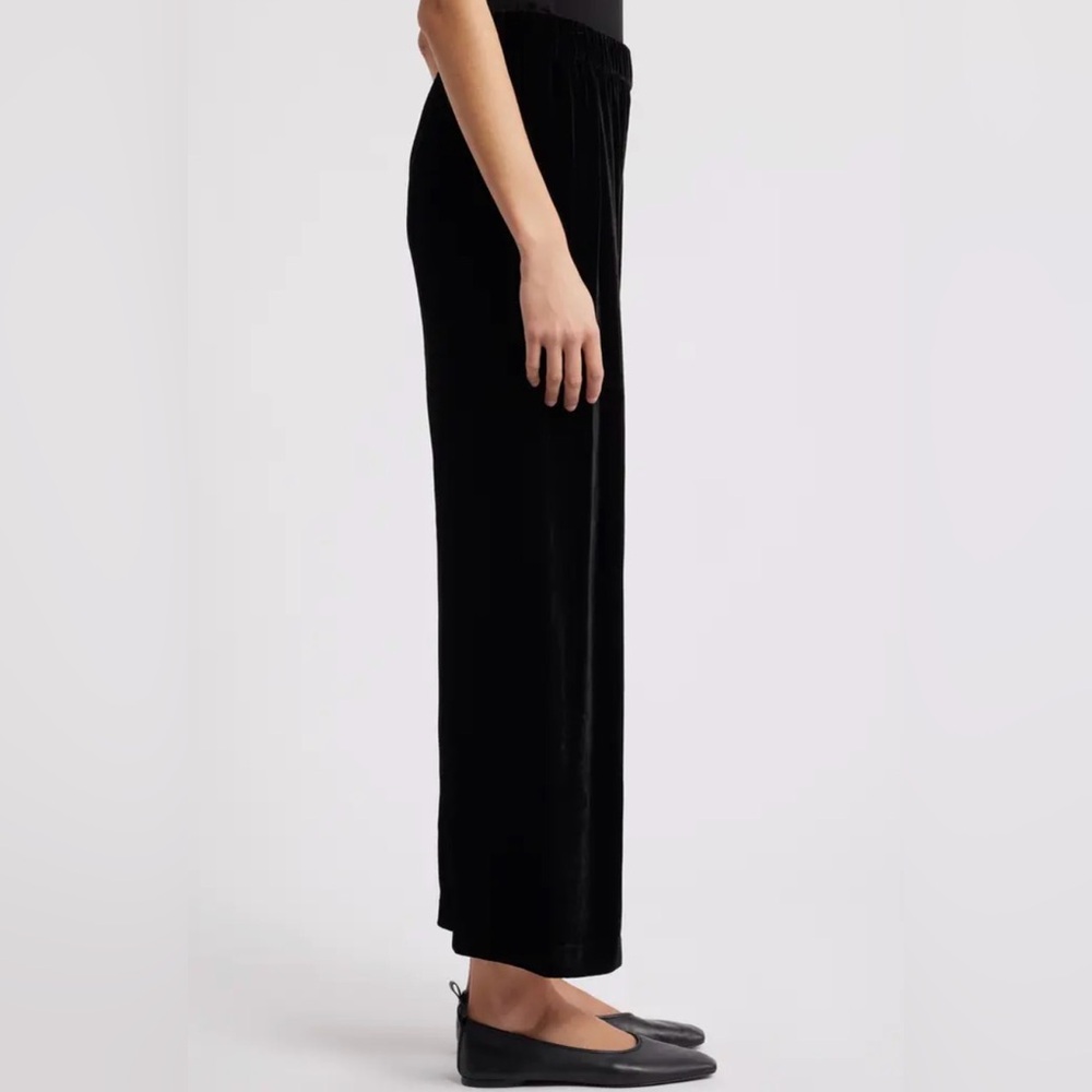 Eileen Fisher Velvet Silk Pants 3x